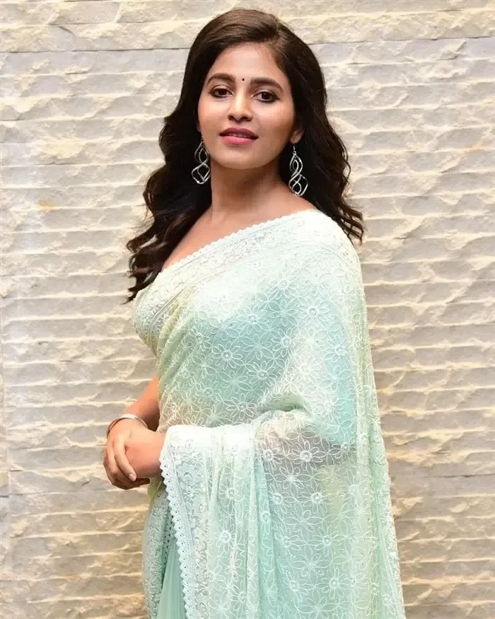 SOUTH INDIAN ACTRESS ANJALI STILLS IN TRADITIONAL LIGHT GREEN SAREE 24